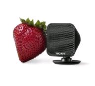 Sony Delivers Stylish Surround Sound System for High-Definition Home Theaters