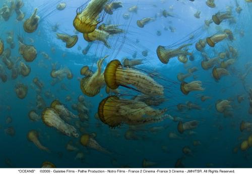 Images/Disneynature Oceans